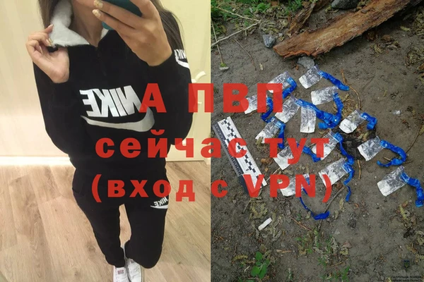стаф Протвино