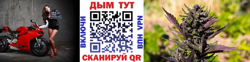 купить   Чулым  Бошки Шишки марихуана 